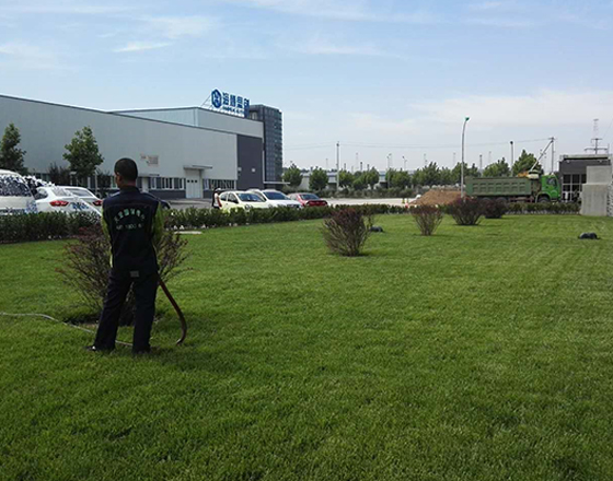 北京（jīng）綠化公司