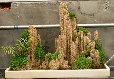 吸水石假山盆景（jǐng）效果圖（一）