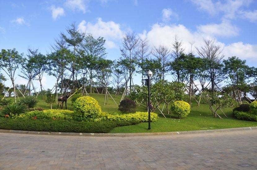 園林綠化工程雨季施工有哪些問題（tí）？