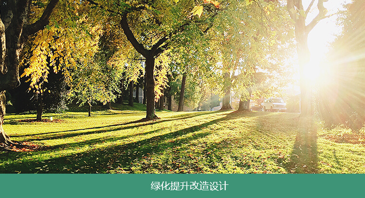綠（lǜ）化提升改造設計
