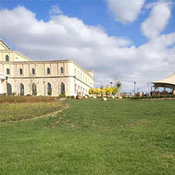 綠化公司（sī）