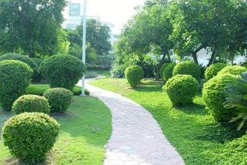 如（rú）何控製園林（lín）綠化養護費用？