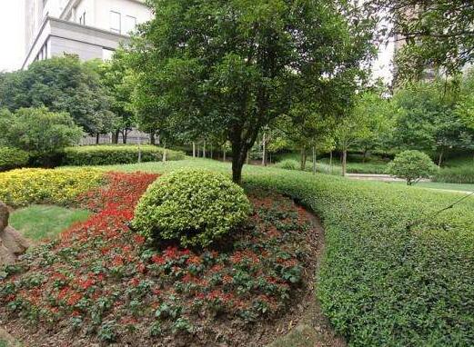 綠化工（gōng）程造價的計算方法