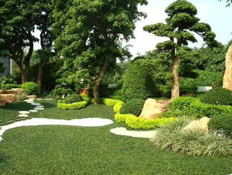 北京園林綠化在冬天裏我們需要做（zuò）哪些工作