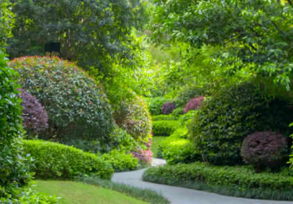 物業綠化（huà）養護（hù）基礎知識