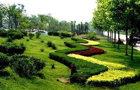 園林景觀工程常用的園林綠化植物有哪幾（jǐ）種？