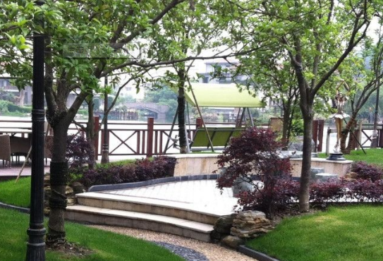 園林綠化|園林景觀中（zhōng）植物選擇的3大禁忌