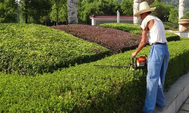 綠化養護工證怎麽考?報名條件方式都有哪些