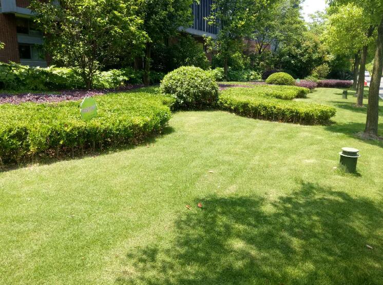 園（yuán）林景觀工程根據景觀雕塑所起的不同作用