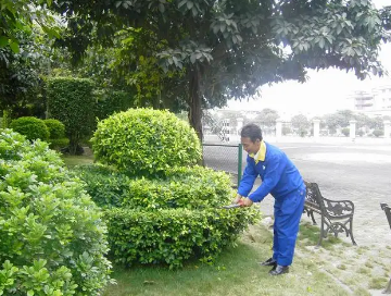 綠化養護如何提（tí）高管理水平？