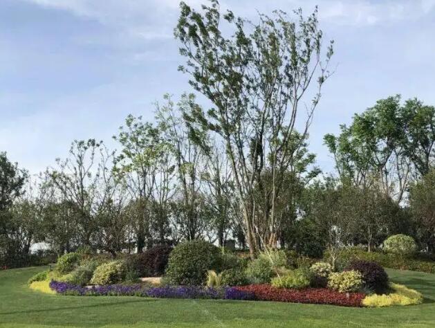 園（yuán）林綠化工程造價控製要點有哪些？