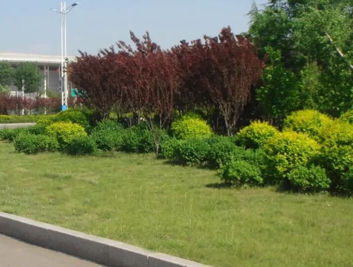 園林綠化工（gōng）程施（shī）工與養護的需要有效的結合（hé）