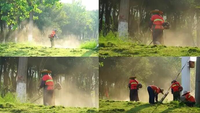 春季物（wù）業綠化養護會有（yǒu）哪些知識