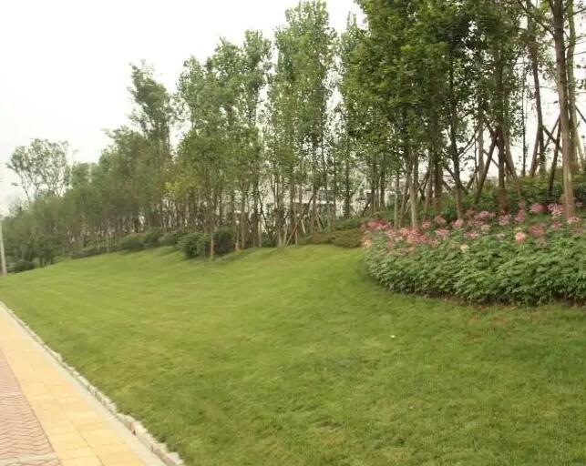 綠化工程的造價方法有哪些（xiē）