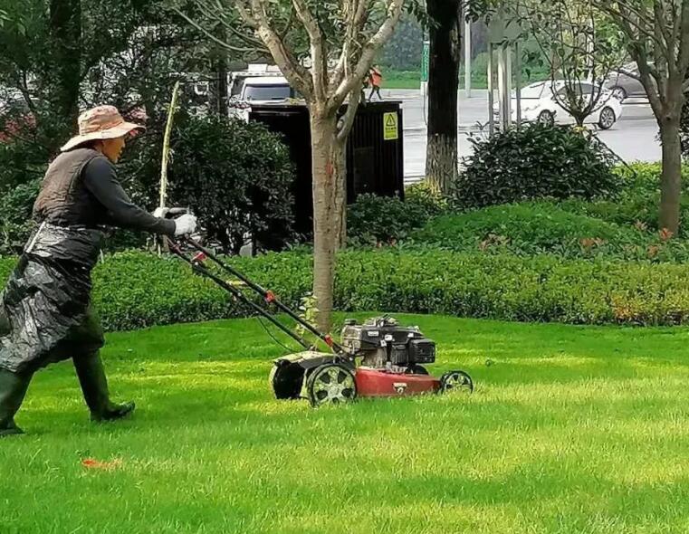 綠化養（yǎng）護包括哪些方麵 綠化養護包括什麽