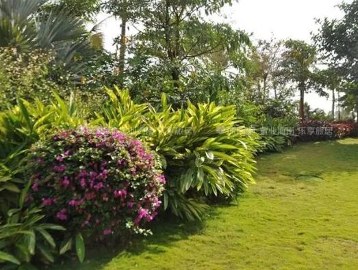 園林綠化涉及到的稅率（lǜ）變化