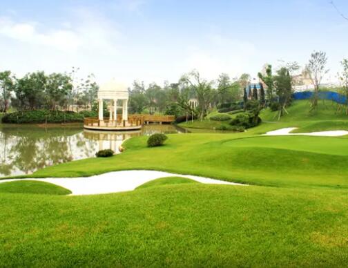 園林景（jǐng）觀（guān）工程施（shī）工質量怎麽進行提高（gāo）