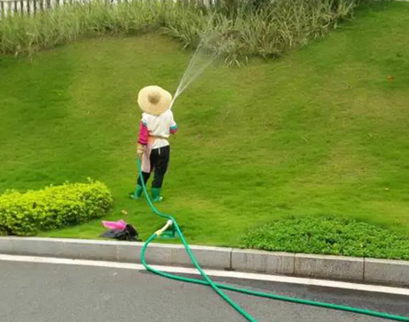 春季（jì）園林（lín）綠化養護要（yào）點