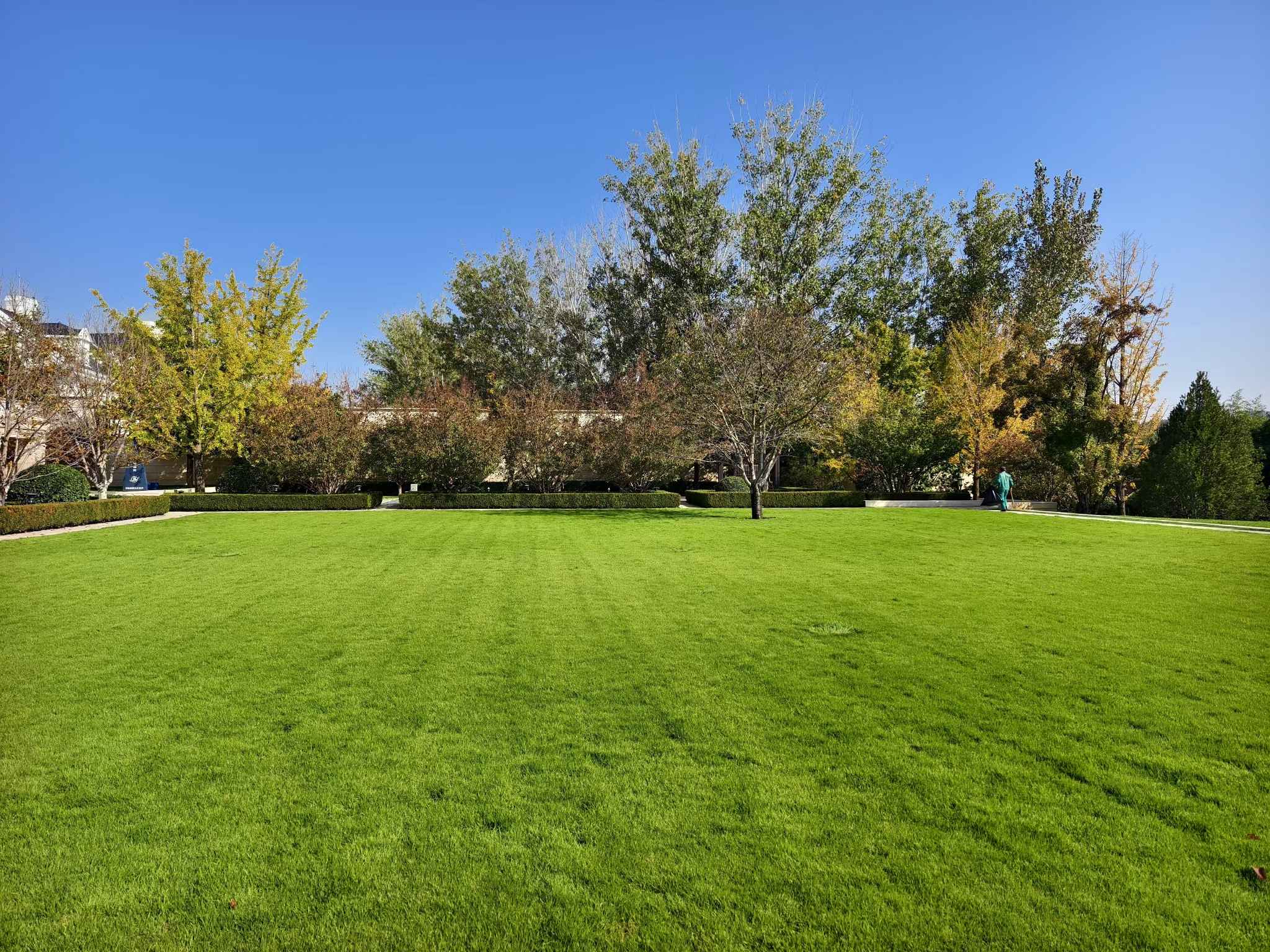 B站9.1免费版園林入駐石（shí）榴滄州綠化項目，共築（zhù）城市（shì）美好未來