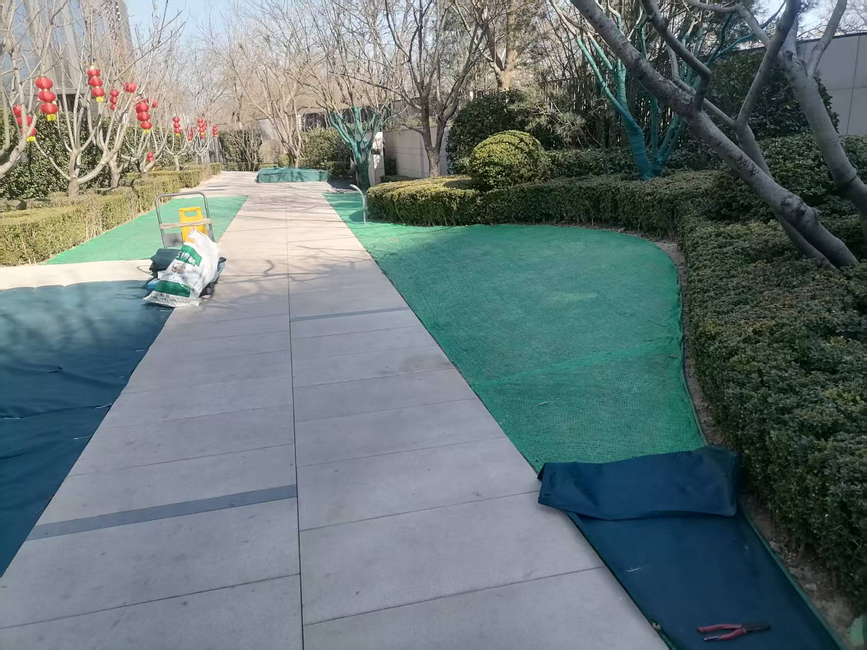 北京春（chūn）季（jì）園林綠化養護之撤除防寒布