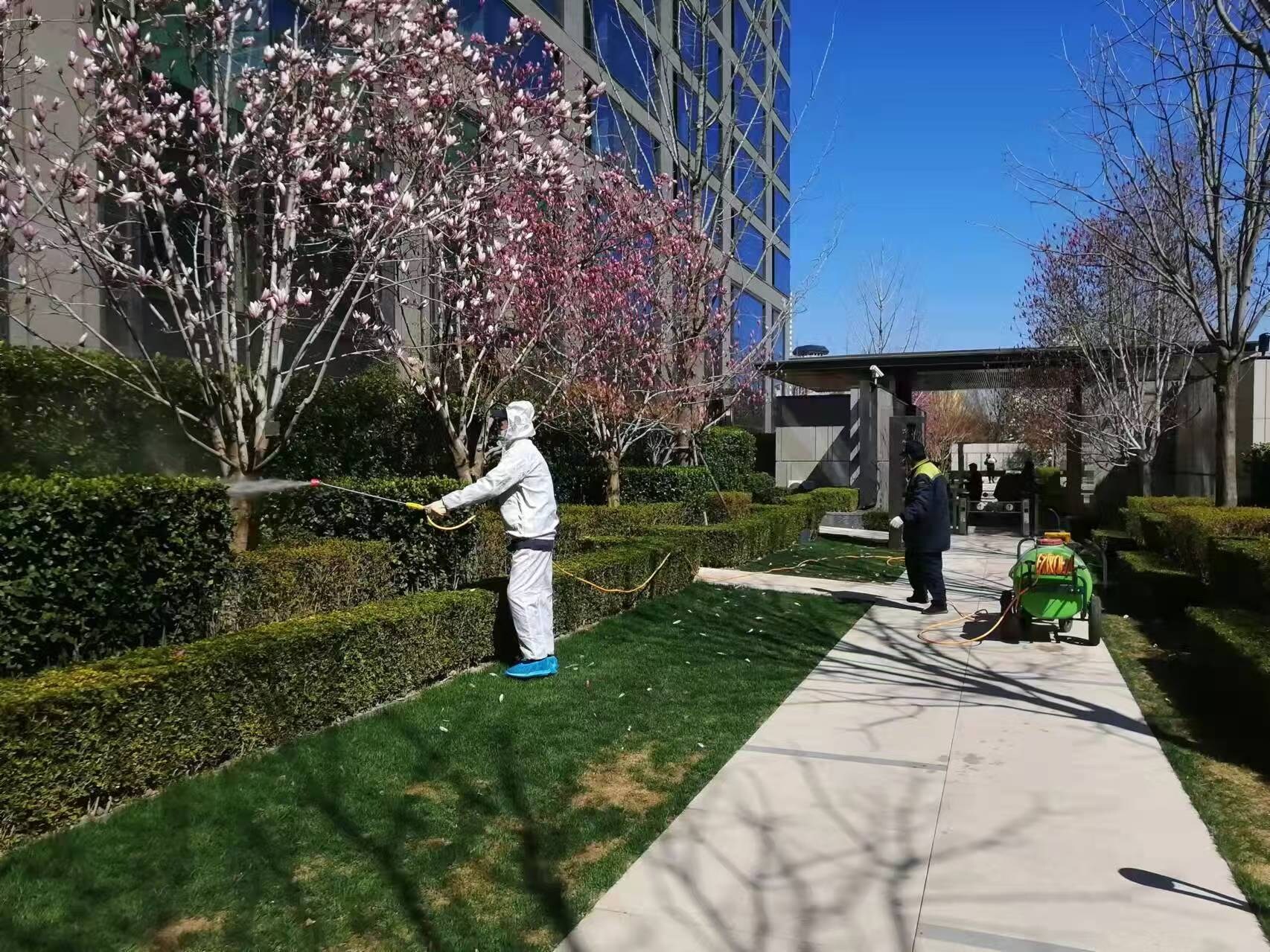 北京春季園林綠化養護（hù）之石硫合劑