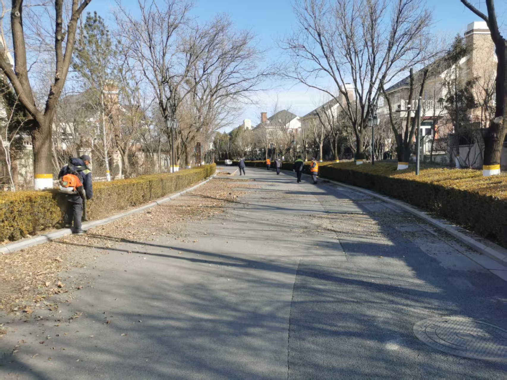 北京春季園（yuán）林綠化養護指南之春季清園