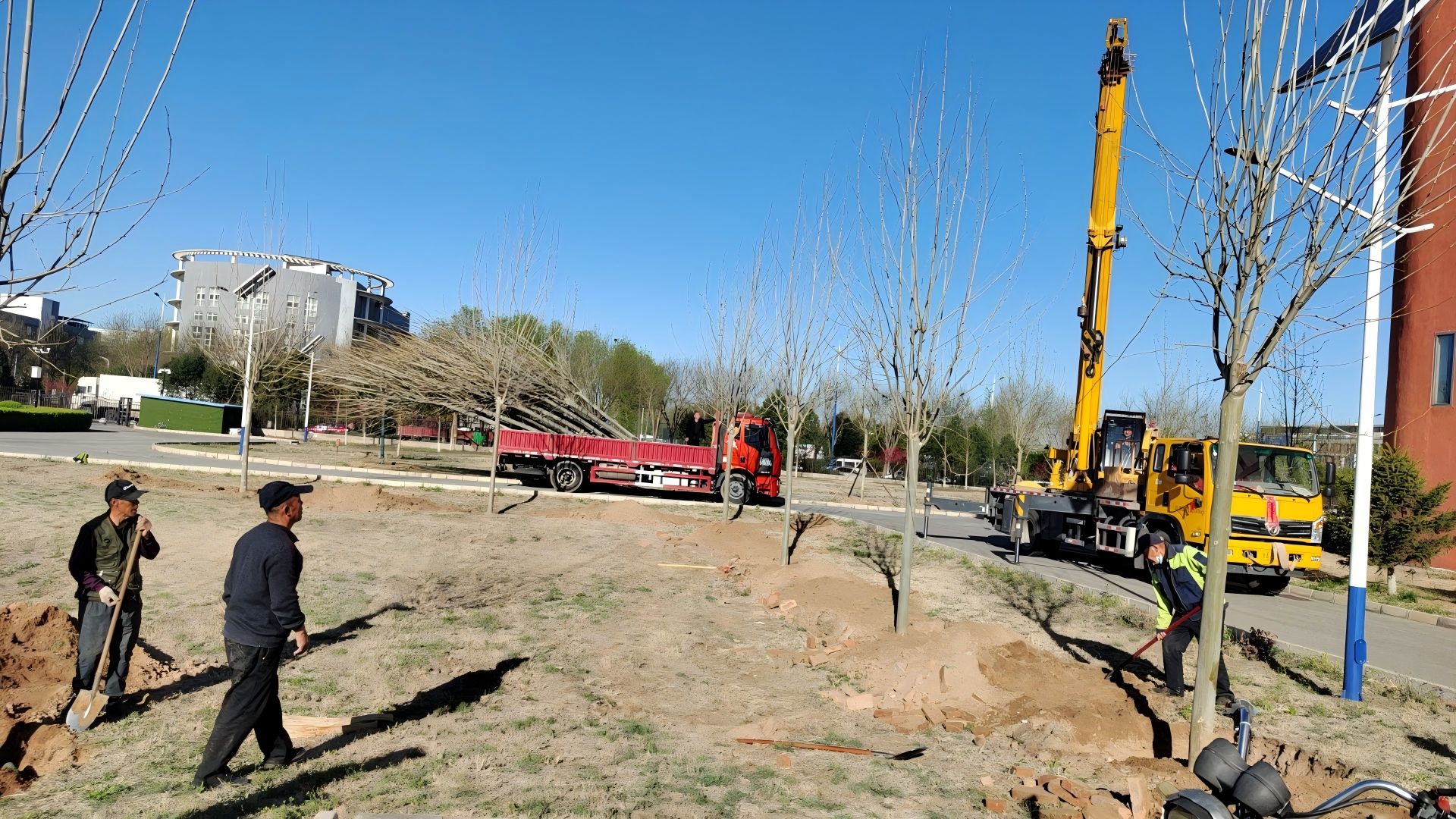 在北京進行春季種樹，最佳時間是什麽時候