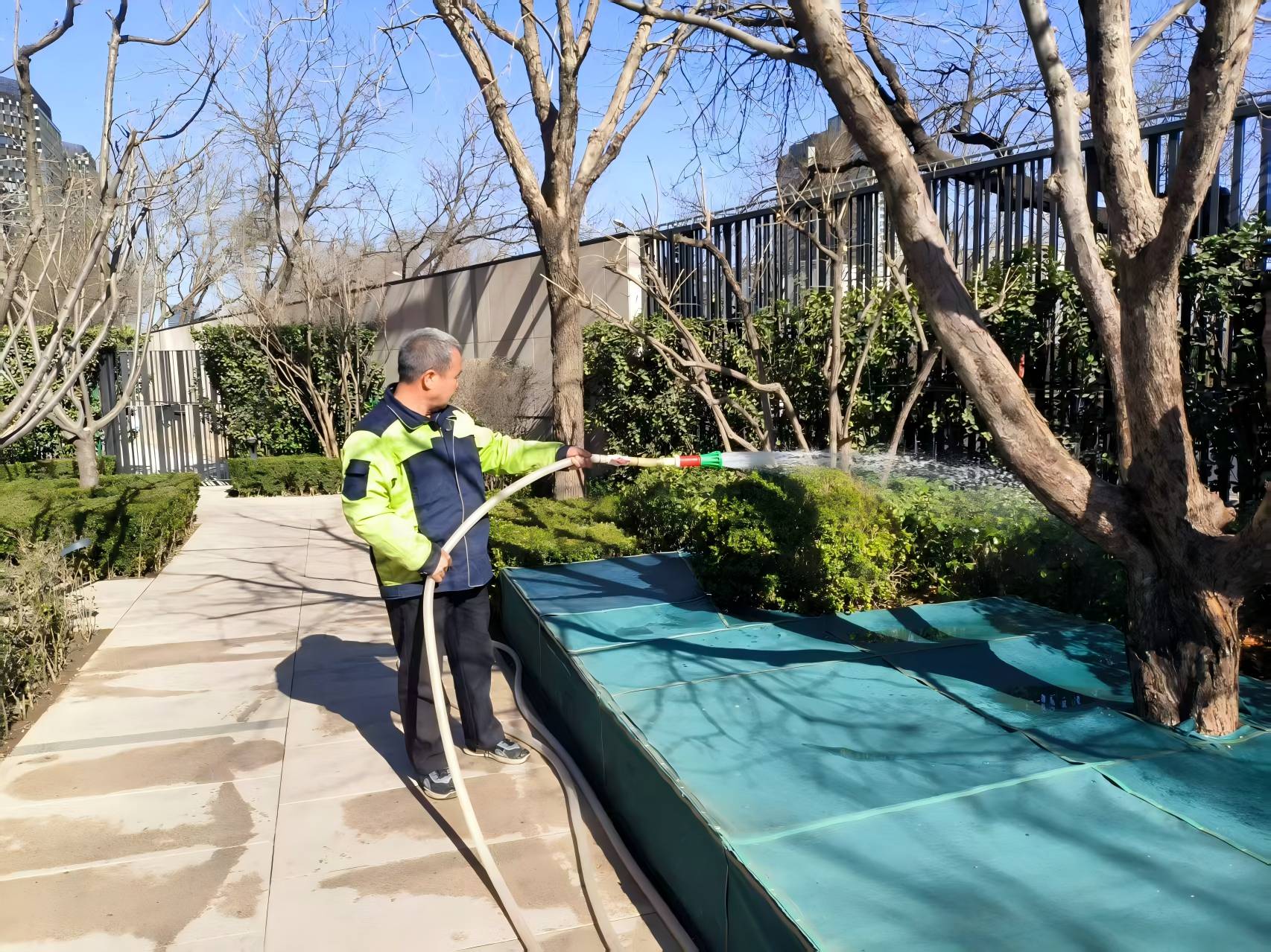 園林綠化之春季養護（hù）指南