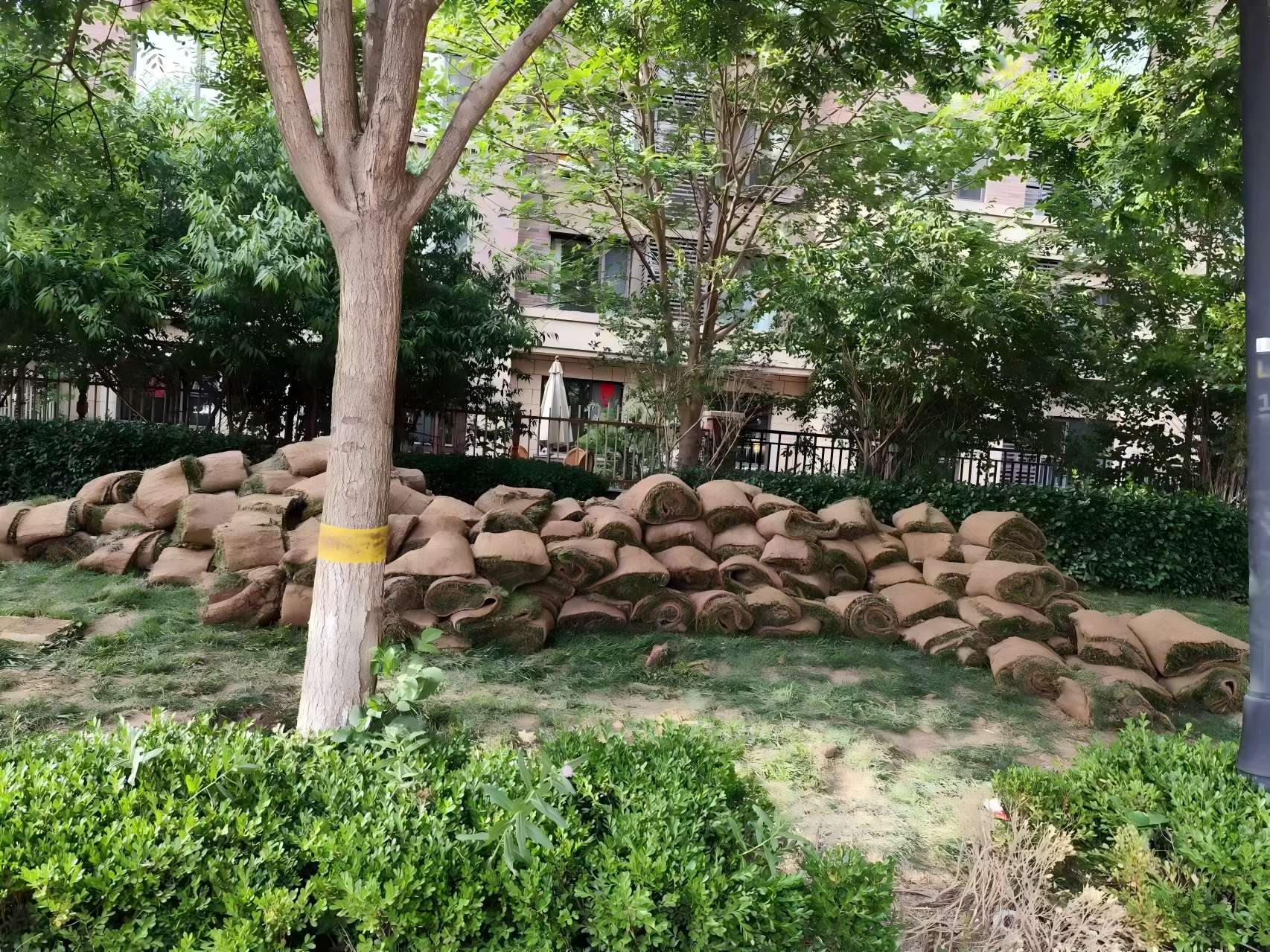 天津綠化養護之某小區鹽堿地治理方案（àn）