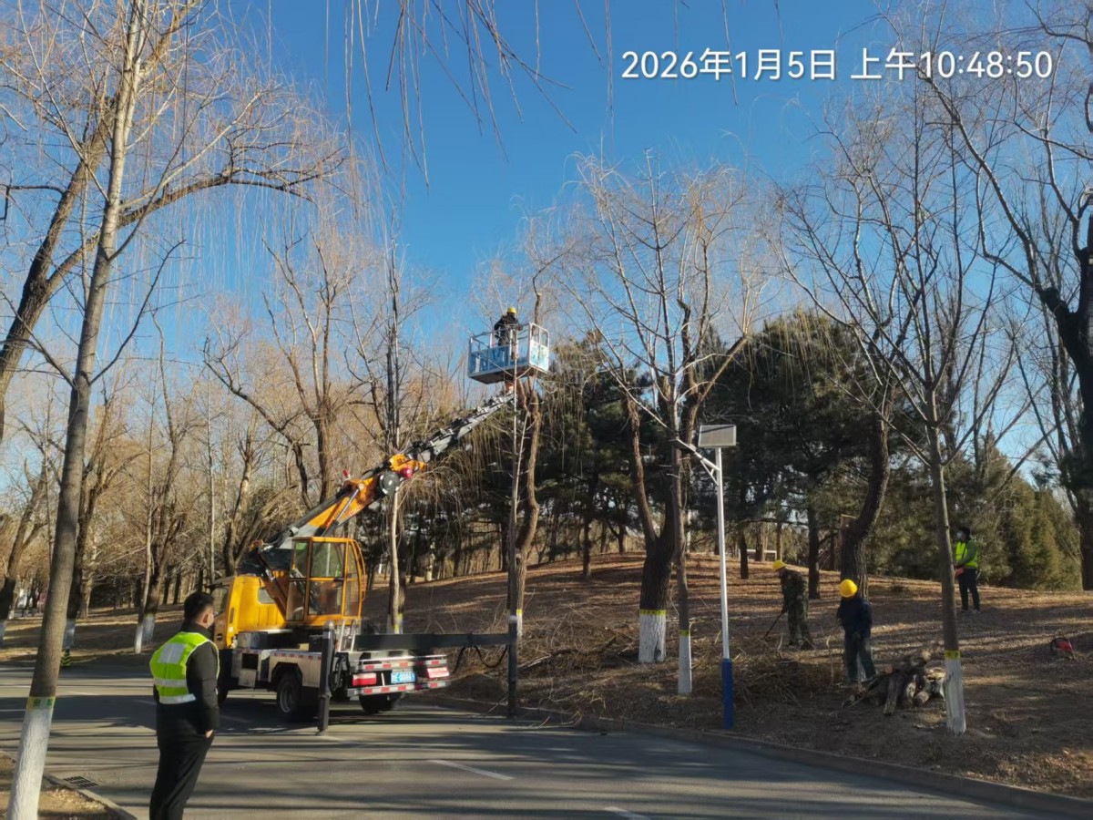 大湖山莊（zhuāng）關於冬季樹（shù）木修剪工作今天（tiān）啟動